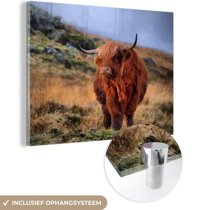 MuchoWow® Glasschilderij 160x120 cm - Schilderij acrylglas - Schotse Hooglander - Gras - Stenen - Foto op glas - Schilderijen