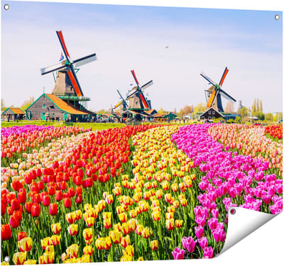 Gards Tuinposter Kleurrijke Tulpen Bloemenveld - Windmolen - 100x80 cm - Tuindoek - Tuindecoratie - Wanddecoratie buiten - Tuinschilderij