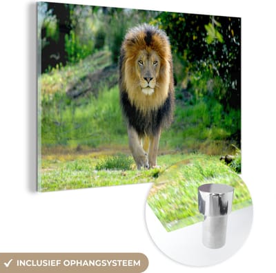 MuchoWow® Glasschilderij 60x40 cm - Schilderij acrylglas - Leeuw - Jagen - Portret - Foto op glas - Schilderijen