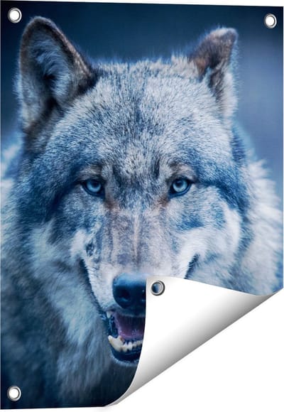 Gards Tuinposter Wolvenkop met Blauwe Ogen - Wolf - 40x50 cm - Tuindoek - Tuindecoratie - Wanddecoratie buiten - Tuinschilderij