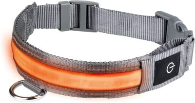 Lichtgevende en reflecterende Halsband kleine hond - Small 36 - 40 x 2,7 cm - tot 12 kg - Oplaadbaar - Honden ledband