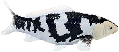 Mojo Sealife Koi Karper - Shiro Utsuri Koi - 381102