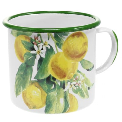 Emaille plantenpot, decoratieve pot met citroentak, plantenpot in medi
