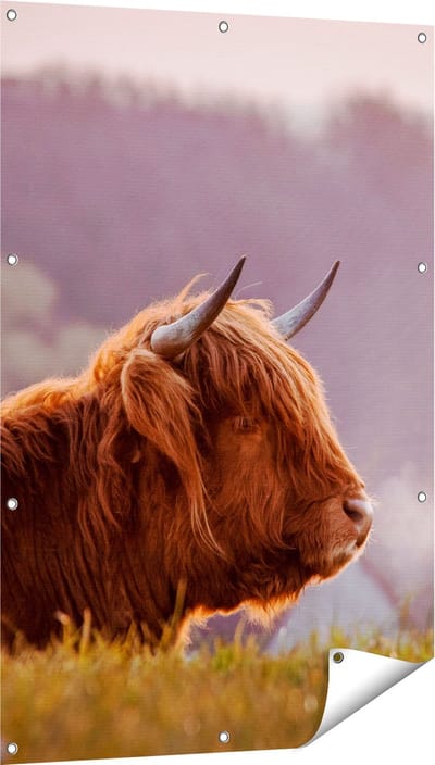 Gards Tuinposter Schotse Hooglander Koe Ligt in het Gras - 80x120 cm - Tuindoek - Tuindecoratie - Wanddecoratie buiten - Tuinschilderij