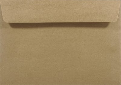 Ecologische bruine enveloppen A5 - 162 x 229 mm - C5 - 20 stuks - HK zelfklevend met plakstrip - 100 gram - Eko Design - Netuno