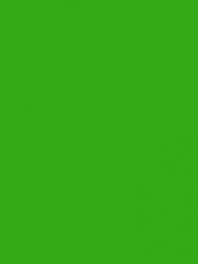 Behang – Groen – Eclectisch – Papierbehang - Kleurrijk wonen – Tienerkamer – Jongenskamer – Gamekamer – Woonkamer - Uni behang - Groen behang - 0,53 x 10,05 M.