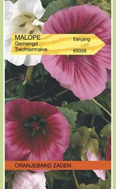 Malope, Trechtermalva gemengd