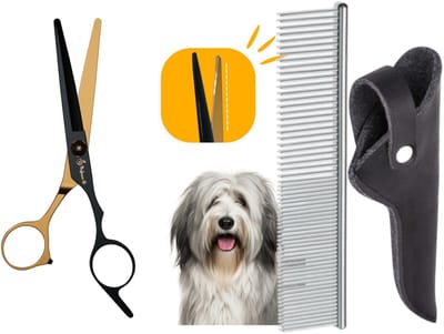 Professor Q Uitdunschaar – Contourschaar voor Honden – Professionele Trimschaar – Zwart/Goud met Luxe Lederen Etui – 16,5 cm – Zwart + Anti-Klit Kam – Pijnloos & Huisdiervriendelijk