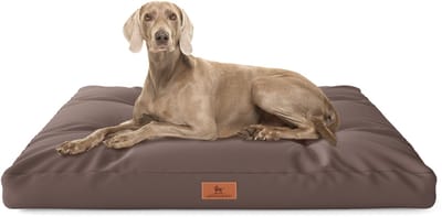 Knuffelwuff hondenkussen Gatsby van Oxford-stof 75x50 cm bruin
