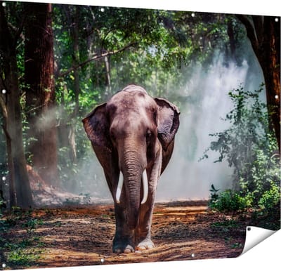 Gards Tuinposter Olifant in het Bos - 150x120 cm - Tuindoek - Tuindecoratie - Wanddecoratie buiten - Tuinschilderij