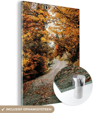 MuchoWow® Glasschilderij 30x40 cm - Schilderij acrylglas - Herfstbos - Pad - Bladeren - Landelijk - Foto op glas - Schilderijen