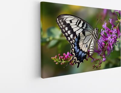Saammp Canvas Schilderij - Kleurrijke Vlinder - Natuur - Dieren - 30x20 - Foto op canvas - Wanddecoratie - muurdecoratie Woonkamer - Slaapkamer decoratie - Canvas Print