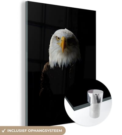 MuchoWow® Glasschilderij 120x160 cm - Schilderij acrylglas - Adelaar - Vogel - Zwart - Foto op glas - Schilderijen