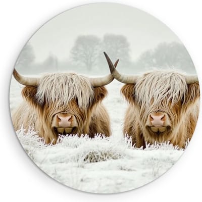 Saammp - Muurcirkel Hout - 2 Liggende Schotse Hooglander Koe - Dieren - Landschap - Ø 90 - Wandcirkel - Wanddecoratie Cirkel - muurdecoratie Woonkamer - Slaapkamer decoratie - Rond Schilderij