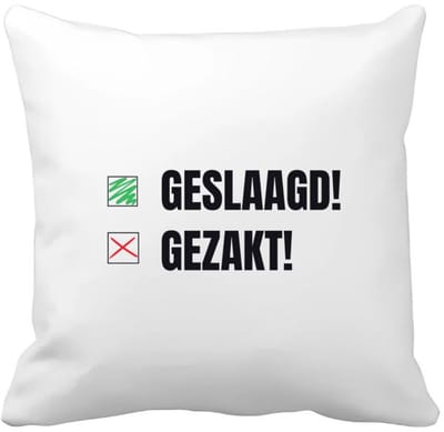 Akyol - geslaagd gezakt Kussen hoes - Geslaagd - cadeau geslaagd - cadeau - cadeau voor eindexamen - 40 bij 40 cm