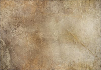 Fotobehangkoning - Behang - Vliesbehang - Fotobehang Gouden Bladeren - 400 x 280 cm