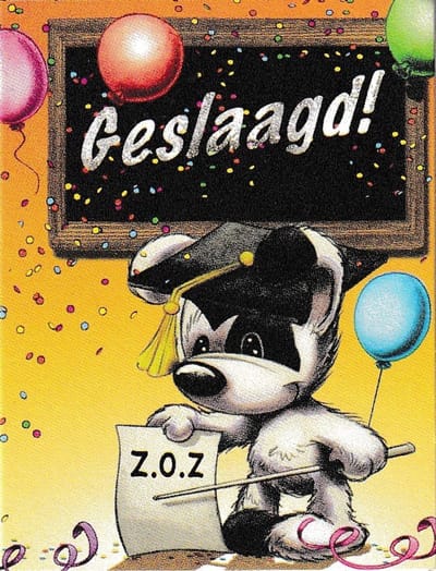 Geslaagd! - Bloemkaartjes - 25 Stuks – 15 x 6.5 cm – Minikaartjes - Bloemist – Cadeau – JK-308