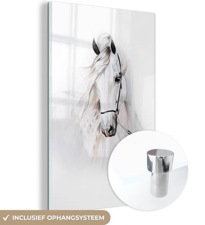 MuchoWow® Glasschilderij 40x60 cm - Schilderij acrylglas - Paard - Waterverf - Dieren - Wit - Foto op glas - Schilderijen