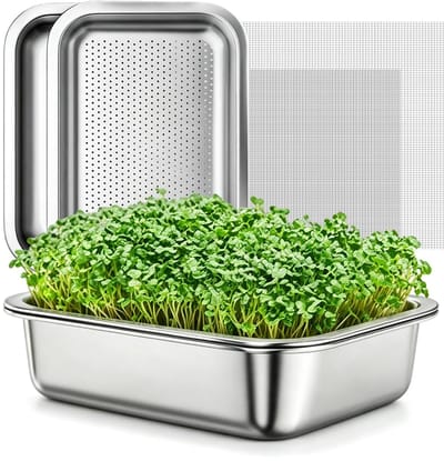 2 stuks roestvrijstalen kiembakken 26 x 19 cm - 2-in-1 voor kiemen en microgreens - grote kiembak van roestvrij staal - vaatwasserbestendig - herbruikbare kiembak voor het kweken