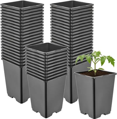 Garronda Set van 50 hoge vierkante kunststof kweekpotten met drainagegaten voor tuin (Zwart, 11 x 11 x 15,5 cm (1,25L)) GD-KW-HS