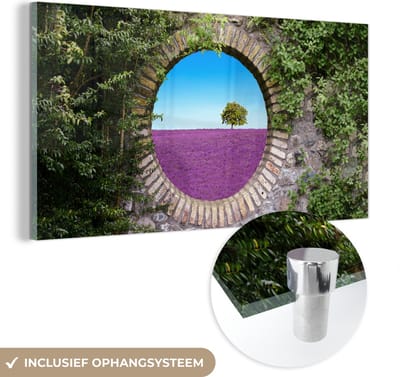 MuchoWow® Glasschilderij 40x20 cm - Schilderij acrylglas - Lavendel - Doorkijk - Bloemen - Zomer - Foto op glas - Schilderijen