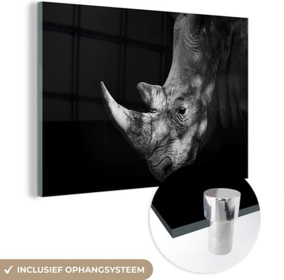 MuchoWow® Glasschilderij 120x80 cm - Schilderij acrylglas - Neushoorn - Dier - Licht - Foto op glas - Schilderijen