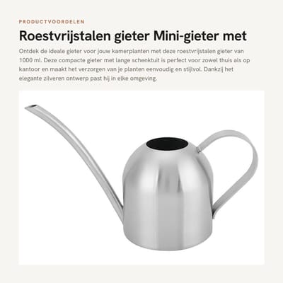 Dailygoods- Gieter 1000 ml - Roestvrij Staal - Kleine Gieter - Sproeikop - Planten Water geven - Balkon/Huis/Garten - Plantenbewateringskan