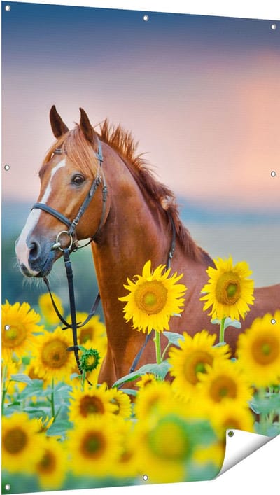 Gards Tuinposter Bruin Paard tussen de Zonnebloemen - 100x150 cm - Tuindoek - Tuindecoratie - Wanddecoratie buiten - Tuinschilderij