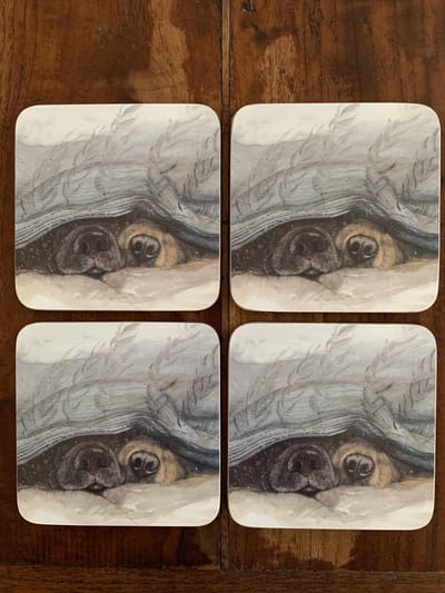 Alex Clark Onderzetters Set Snouts ~ Honden