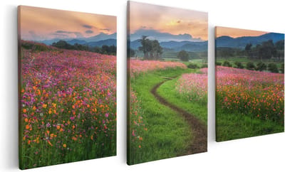 Artaza Canvas Schilderij Drieluik Kosmos Bloemenveld Met Een Pad - Bloemen - 120x60 - Foto Op Canvas - Canvas Print