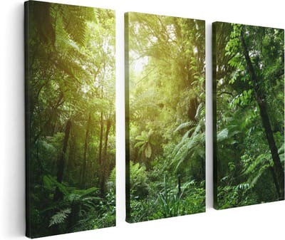 Artaza Canvas Schilderij Drieluik Tropische Jungle Met Zonneschijn - 120x80 - Foto Op Canvas - Canvas Print