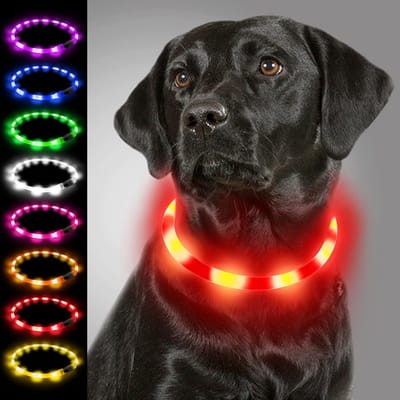 LED Halsband, Hondenhalsband met Licht, Oplichtende Hondenhalsband USB Oplaadbare, Lichtgevende Halsband voor Kleine, Medium en Grote Honden, Rood