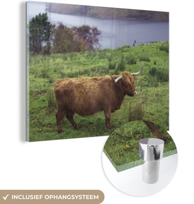 MuchoWow® Glasschilderij 160x120 cm - Schilderij acrylglas - Schotse Hooglander - Gras - Water -Dieren - Foto op glas - Schilderijen