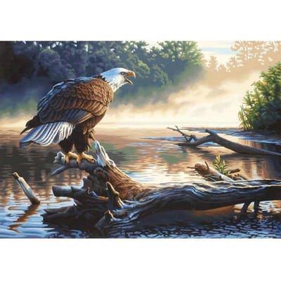 Peinture diamant ronde avec gros oiseau, broderie animaux, point de croix, strass, image européenne 20X30CM beige