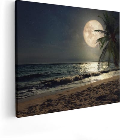 Artaza Canvas Schilderij Zeezicht - 50x40 cm - Wanddecoratie Strand - Muurdecoratie Palmboom - Kamer Accessoires Volle Maan - Woonkamer
