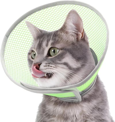 Zachte en Comfortabele Kattenhalsband - Verstelbaar, Waterdicht, Voorkomt Likken en Krabben, Ideaal na Operatie, Geschikt voor Huiskatten en Kittens (Groen L)
