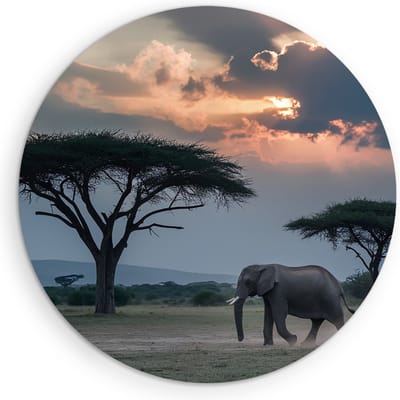 Saammp Muurcirkel Hout - Olifant - Savanne - Dieren - Ø 90 - Wandcirkel - Wanddecoratie Cirkel - muurdecoratie Woonkamer - Slaapkamer decoratie - Rond Schilderij