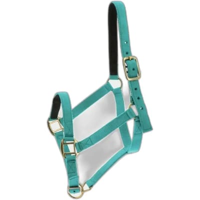 Halster voor paarden Norton Doublé cuir
