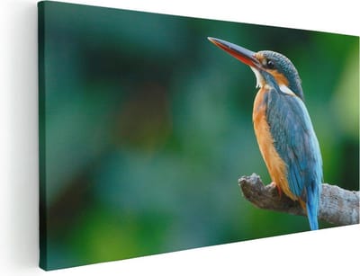 Artaza Canvas Schilderij IJsvogel - 40x20 cm - Klein - Wanddecoratie Vogels - Muurdecoratie Op Tak - Schilderijen Op Canvas