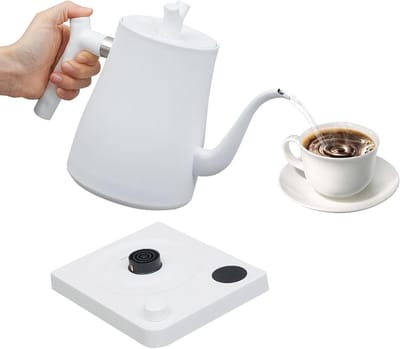 Elektrische Waterkoker - Theepot RVS - Snel Water Koken - Instelbare Temperatuur - 1 Liter - Wit