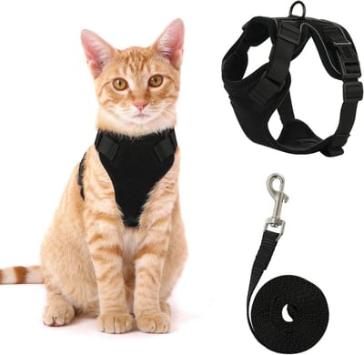 Kattenharnas En Lijn Set - Verstelbaar & Ontsnappingsbestendig - Reflecterend & Zacht - Voor Katten - Zwart (M)