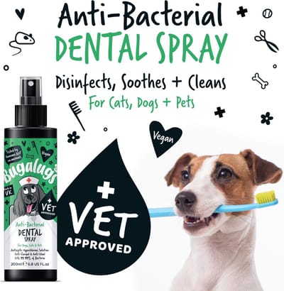Bugalugs Anti-Bacterial Dental Spray 200ml