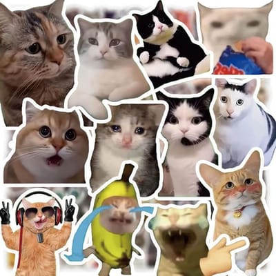500 Grappige Kat Stickers - Waterdichte Vinyl Stickers voor Kinderen, Laptop, Flessen en Notitieboeken
