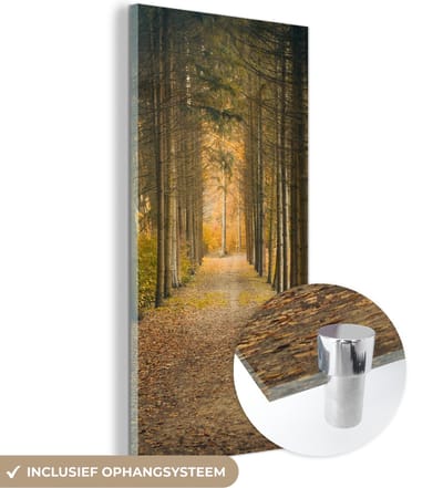 MuchoWow® Glasschilderij 20x40 cm - Schilderij acrylglas - Pad - Bomen - Bos - Foto op glas - Schilderijen