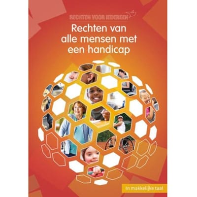 Rechten Van Alle Mensen Met Een Handicap - Rechten Voor Iedereen - Willemijn Steutel