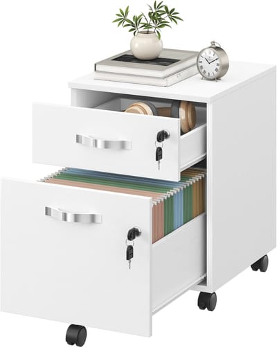 VASAGLE - Archiefkast - Archiefkast met 2 Afsluitbare Laden - Kantoorkast - Voor Werkkamer