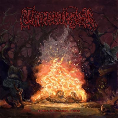 Tramalizer - Fumes Of Funeral Pyres (LP)