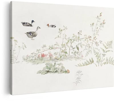 Artaza Canvas Schilderij Eenden - 60x40 cm - Wanddecoratie Vogels - Muurdecoratie Natuur - Decoratie Waterverf Botanisch