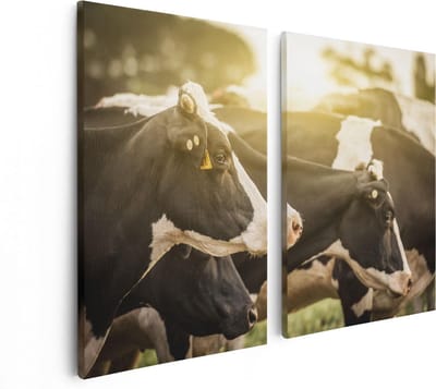 Artaza Canvas Schilderij Tweeluik Zwart Wit Koeien In De Wei Met Zon - 80x60 cm - Wanddecoratie Woonkamer - Schilderijen - Muurdecoratie
