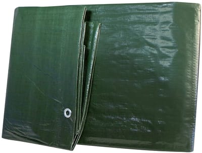 OmGoods - Dailygoody - Geteerd zeildoek - Beschermend dekzeil - Stevige kwaliteit - 6 x 8 m - UV-bestendig - Ideaal voor camping en buitenactiviteiten